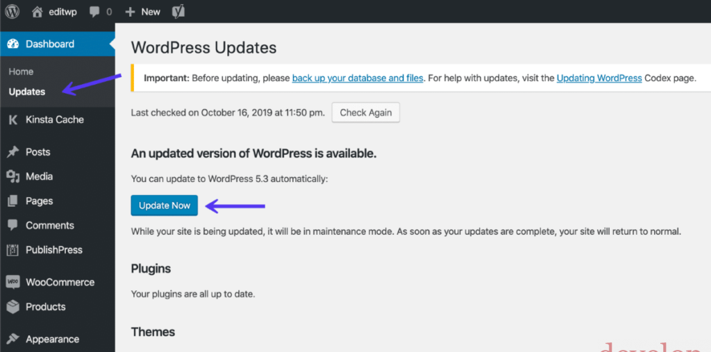 WordPress: Eseguire l’Aggiornamento a WordPress 5.3
